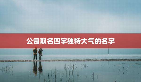 公司取名四字独特大气的名字