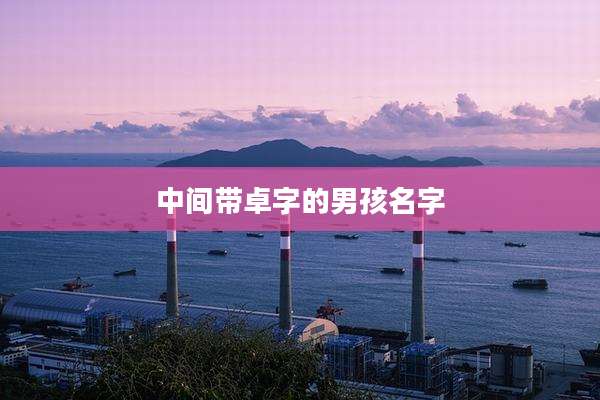中间带卓字的男孩名字