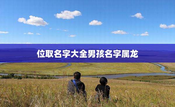 位取名字大全男孩名字属龙