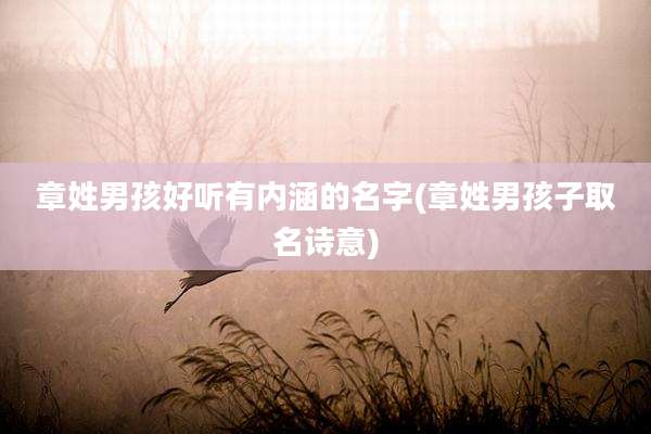 章姓男孩好听有内涵的名字(章姓男孩子取名诗意)