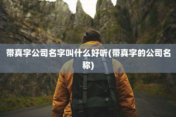 带真字公司名字叫什么好听(带真字的公司名称)