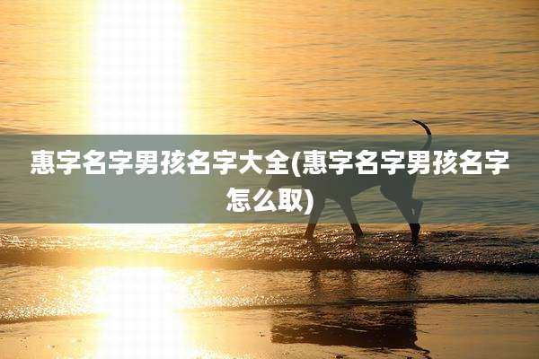 惠字名字男孩名字大全(惠字名字男孩名字怎么取)