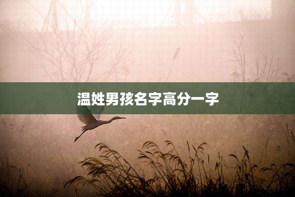 温姓男孩名字高分一字