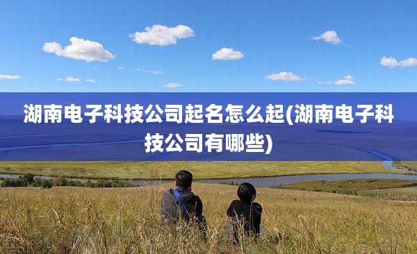 湖南电子科技公司起名怎么起(湖南电子科技公司有哪些)