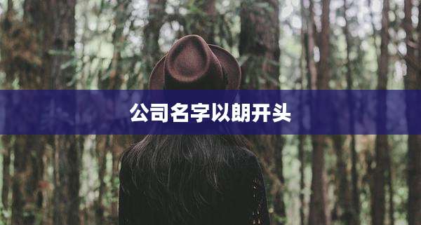 公司名字以朗开头