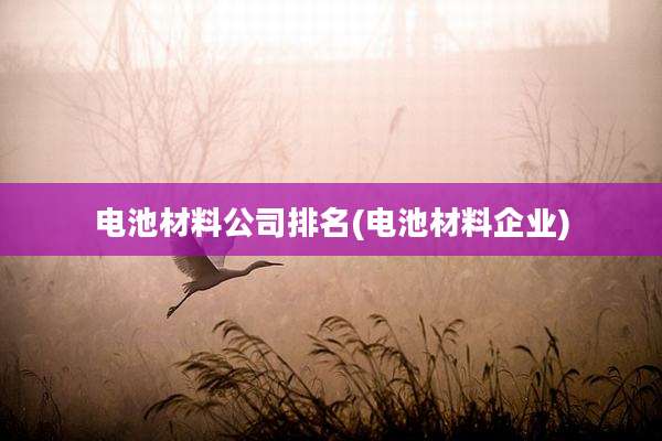 电池材料公司排名(电池材料企业)