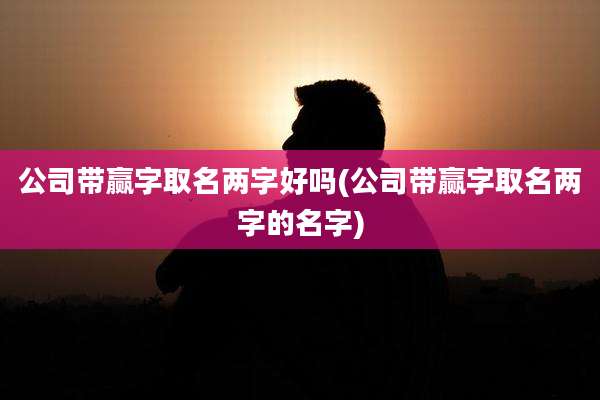 公司带赢字取名两字好吗(公司带赢字取名两字的名字)
