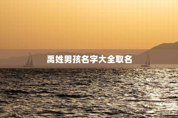 禹姓男孩名字大全取名