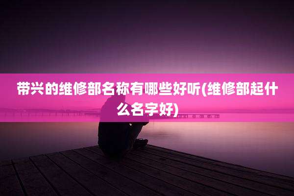 带兴的维修部名称有哪些好听(维修部起什么名字好)