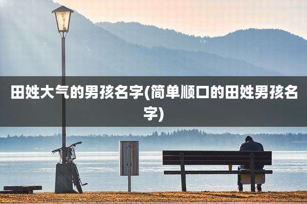 田姓大气的男孩名字(简单顺口的田姓男孩名字)