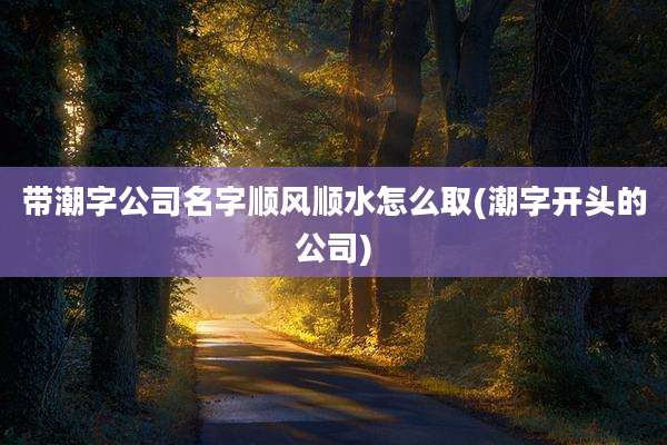 带潮字公司名字顺风顺水怎么取(潮字开头的公司)