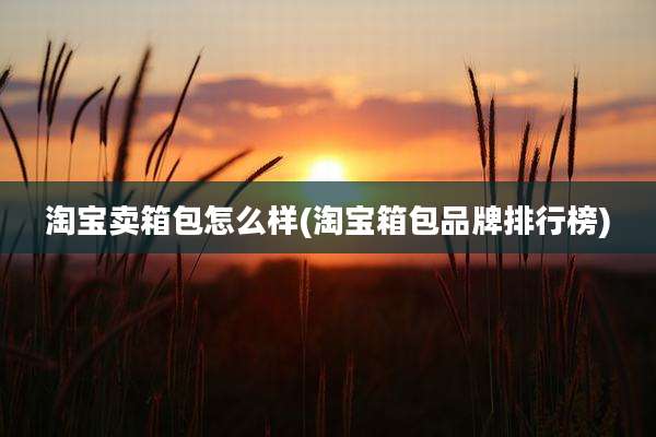 淘宝卖箱包怎么样(淘宝箱包品牌排行榜)