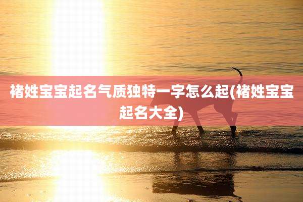 褚姓宝宝起名气质独特一字怎么起(褚姓宝宝起名大全)
