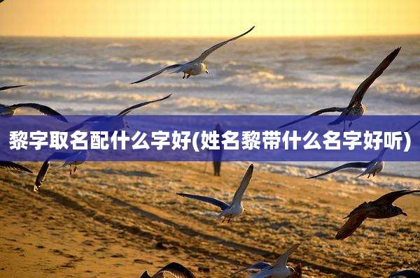 黎字取名配什么字好(姓名黎带什么名字好听)