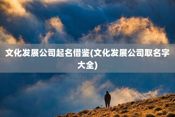 文化发展公司起名借鉴(文化发展公司取名字大全)