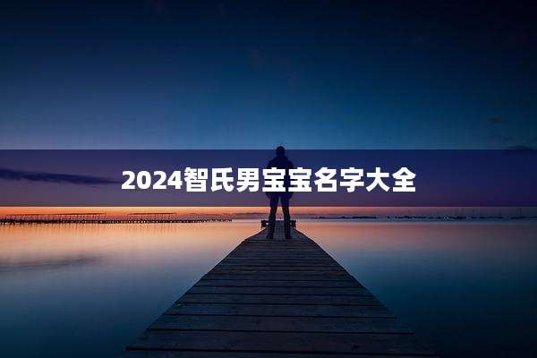2024智氏男宝宝名字大全