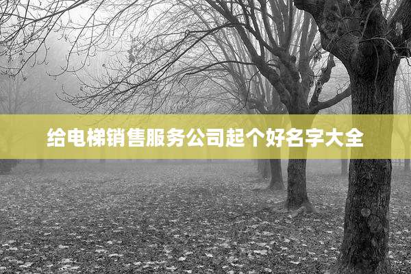 给电梯销售服务公司起个好名字大全