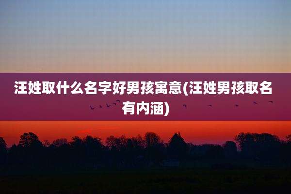 汪姓取什么名字好男孩寓意(汪姓男孩取名 有内涵)