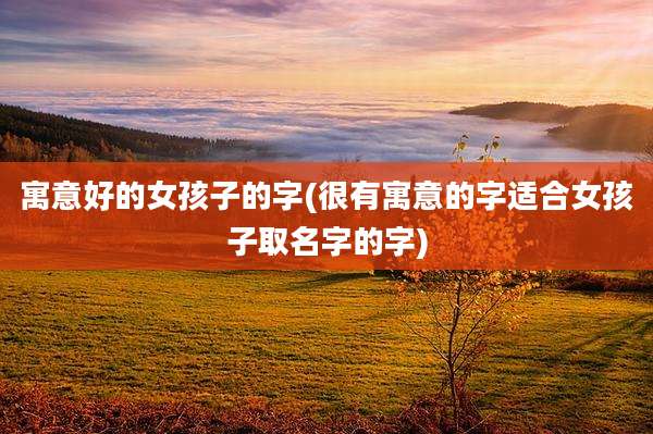 寓意好的女孩子的字(很有寓意的字适合女孩子取名字的字)