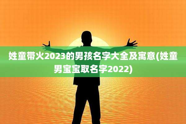 姓童带火2023的男孩名字大全及寓意(姓童男宝宝取名字2022)