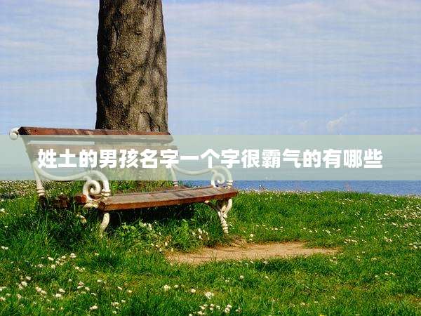 姓土的男孩名字一个字很霸气的有哪些