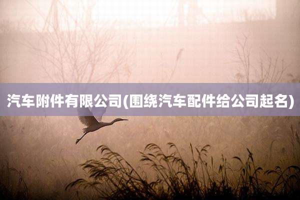汽车附件有限公司(围绕汽车配件给公司起名)