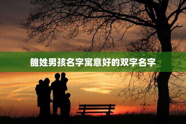 雒姓男孩名字寓意好的双字名字