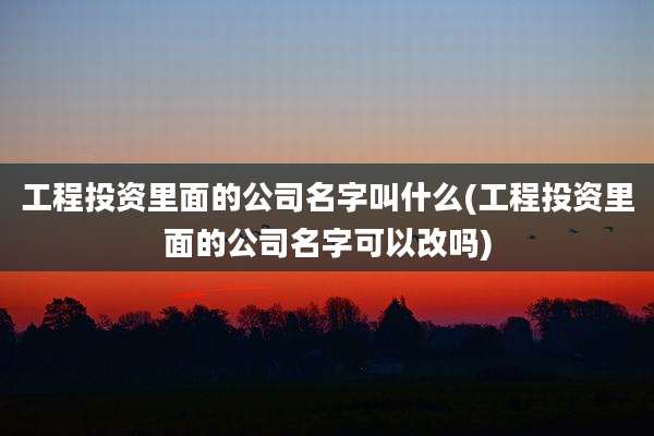 工程投资里面的公司名字叫什么(工程投资里面的公司名字可以改吗)