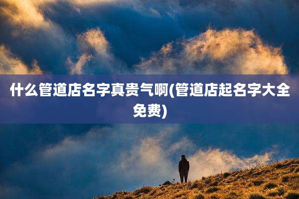 什么管道店名字真贵气啊(管道店起名字大全免费)
