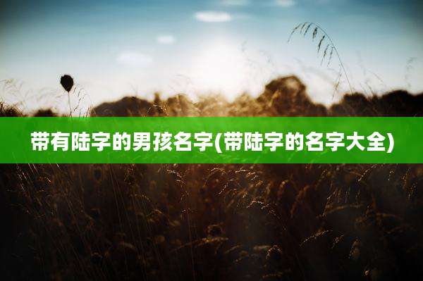 带有陆字的男孩名字(带陆字的名字大全)