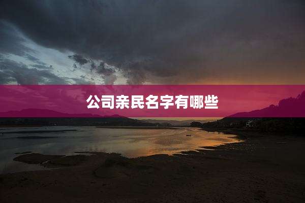 公司亲民名字有哪些