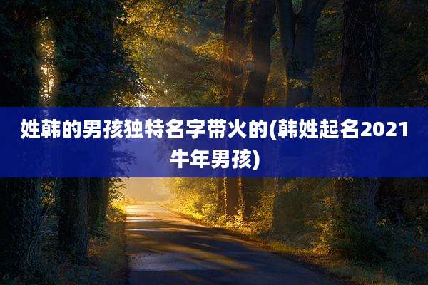 姓韩的男孩独特名字带火的(韩姓起名2021牛年男孩)