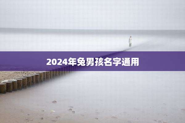 2024年兔男孩名字通用