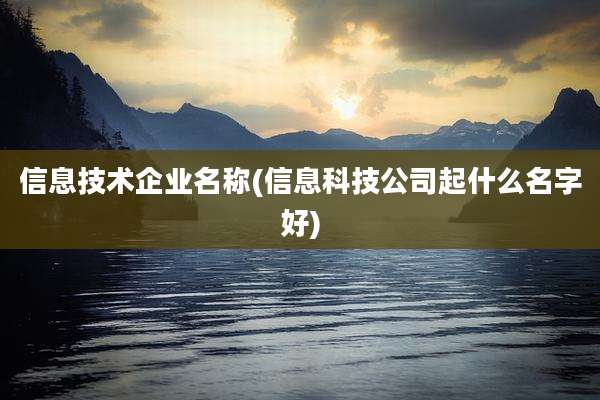 信息技术企业名称(信息科技公司起什么名字好)