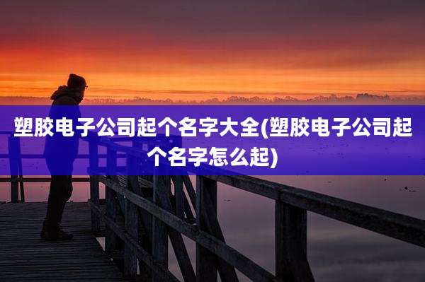 塑胶电子公司起个名字大全(塑胶电子公司起个名字怎么起)