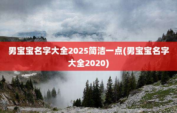 男宝宝名字大全2025简洁一点(男宝宝名字大全2020)