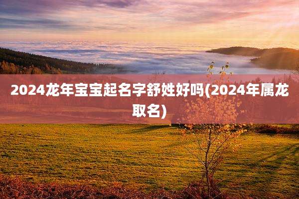 2024龙年宝宝起名字舒姓好吗(2024年属龙取名)