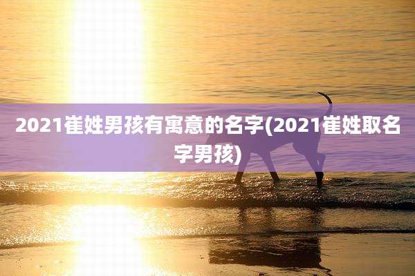 2021崔姓男孩有寓意的名字(2021崔姓取名字男孩)