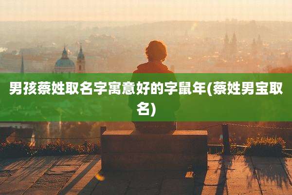 男孩蔡姓取名字寓意好的字鼠年(蔡姓男宝取名)