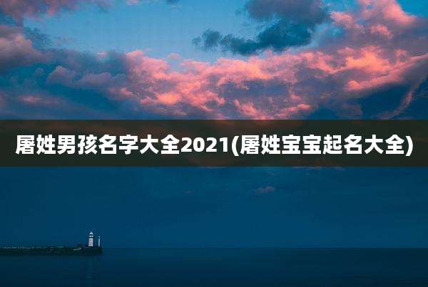 屠姓男孩名字大全2021(屠姓宝宝起名大全)