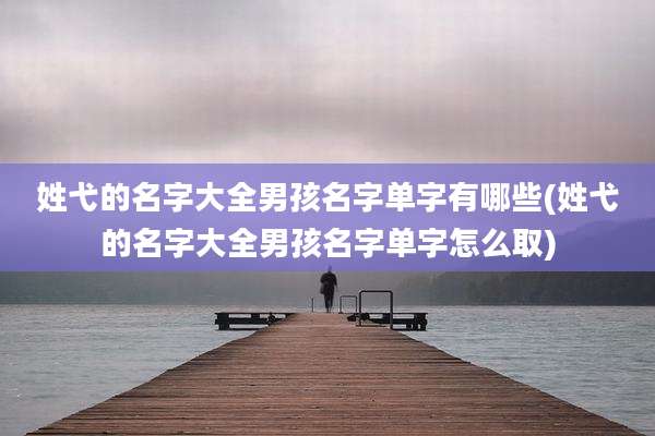 姓弋的名字大全男孩名字单字有哪些(姓弋的名字大全男孩名字单字怎么取)