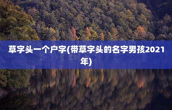 草字头一个户字(带草字头的名字男孩2021年)
