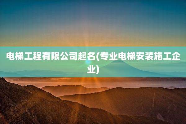 电梯工程有限公司起名(专业电梯安装施工企业)