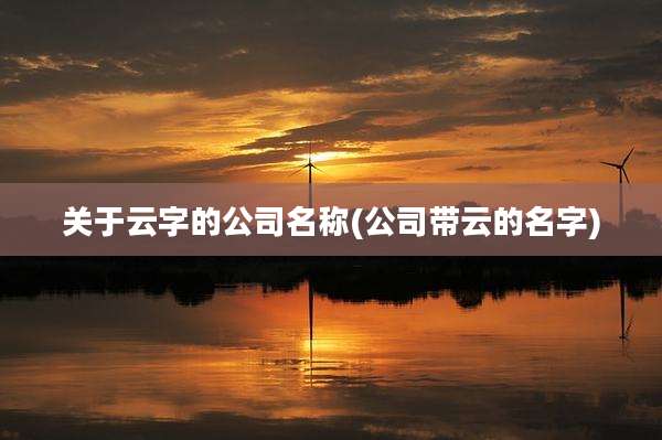 关于云字的公司名称(公司带云的名字)