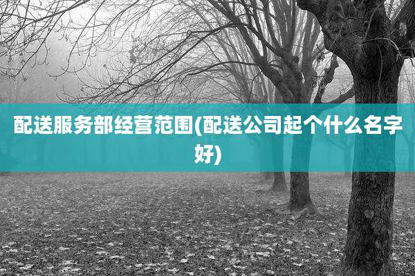 配送服务部经营范围(配送公司起个什么名字好)
