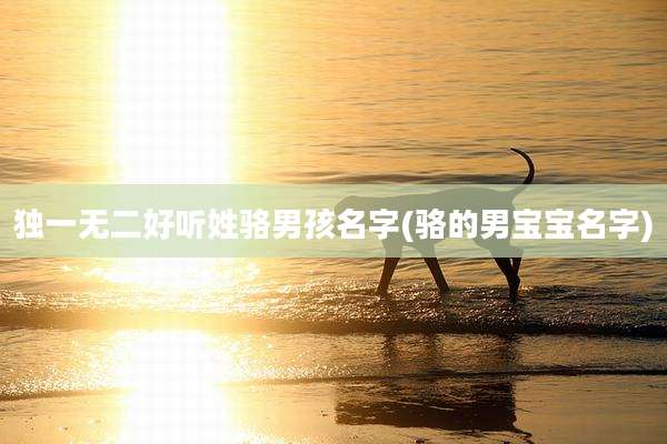 独一无二好听姓骆男孩名字(骆的男宝宝名字)