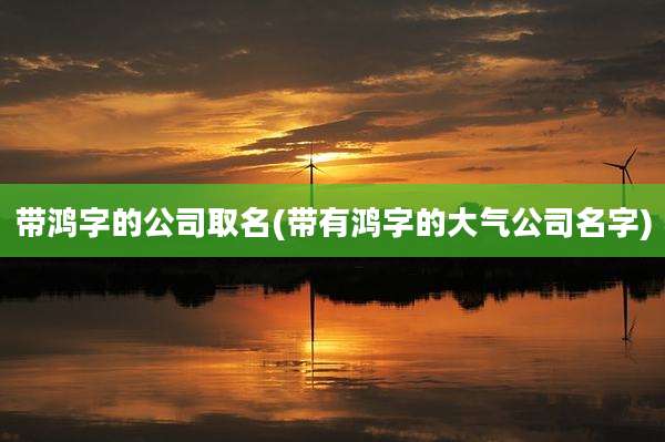 带鸿字的公司取名(带有鸿字的大气公司名字)