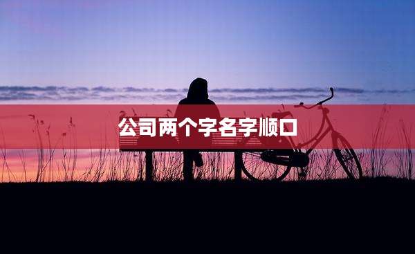 公司两个字名字顺口