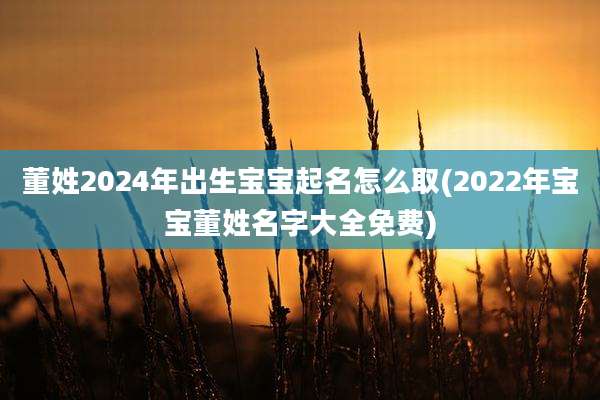 董姓2024年出生宝宝起名怎么取(2022年宝宝董姓名字大全免费)