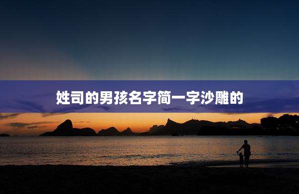 姓司的男孩名字简一字沙雕的